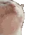 catjam