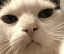 NotPleased Discord emoji