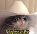 OGYeehawSadCat Discord Emoji