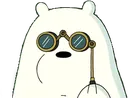 polarrbinoculars