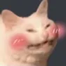 BlushyCat