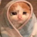 d_catsadblankey Discord Emoji