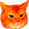 kitten_rainbow Discord Emoji