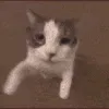 FR0GE_Kiss3 FR0GE_Kiss3