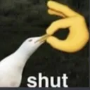 shut