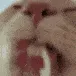 FR0GE_LickFast FR0GE_LickFast