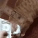 CE_makeitrain