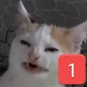 CE_SadCatPing CE_SadCatPing