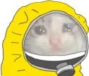 CE_HazmatSuitSadCat CE_HazmatSuitSadCat