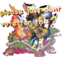 dontvoteforthis