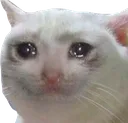 cry cry