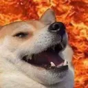 evildogekekw