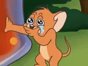 roo_dunga
