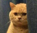AC_Behind_Cave Discord emoji