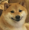 AC_Smiling_dog Discord emoji