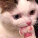 AC_shit2 Discord emoji