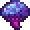 Shrimpy_Truffle Shrimpy_Truffle