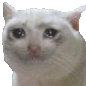 AC_No Discord emoji