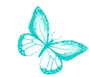 butterflyblue