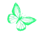 mintbutterfly