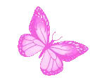 pinkbutterfly
