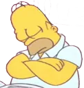 sleepinghomer