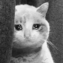 AC_Hidden_cat Discord emoji
