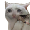 AC_Poor_hug Discord emoji