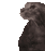 AC_Wet_cat Discord emoji