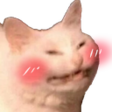 3p_blushcat Discord emoji
