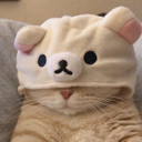d_catbearhat Discord emoji