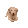 golden golden