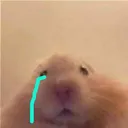 abdc_hamstercry Discord Emoji