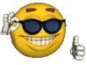 pro