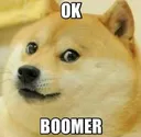 okboomer
