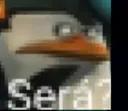 sera