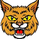 Bobcat