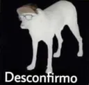 disconfirmo