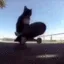 KyleWhenStakeBoard