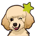 poodsstar