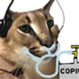 floppa_Copium