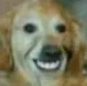 dogsmile