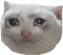 sadcat Discord Emoji