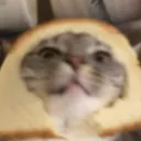 breadcat