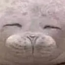 __