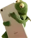 kermitphone