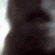 Chimp
