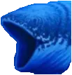 pogfish pogfish