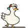 duckDance duckDance