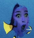 o_